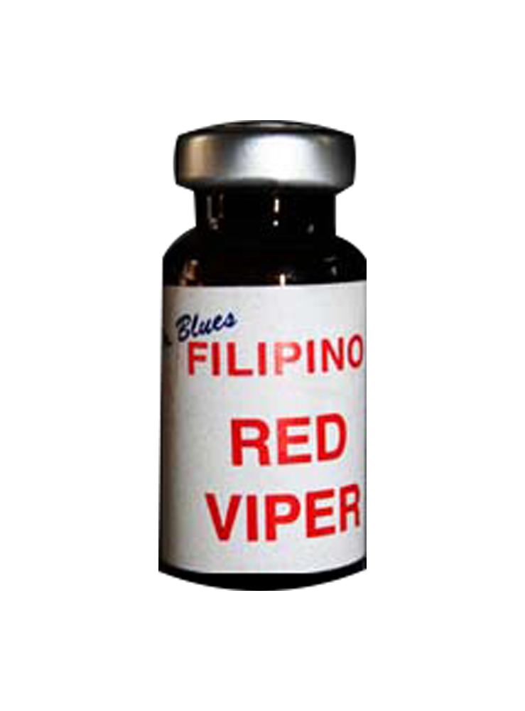 Filipino Red Viper
